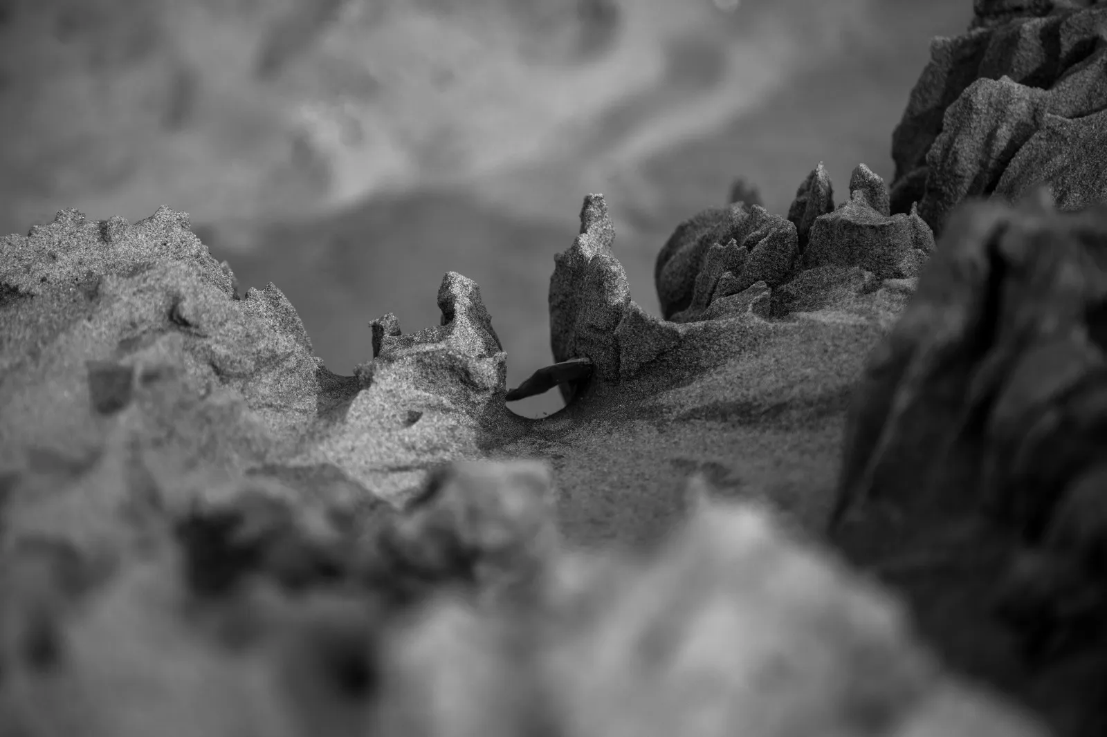 First Image